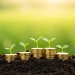 Stacked Coins with Growing Plants Representing Investment